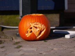 IMG_7263_web